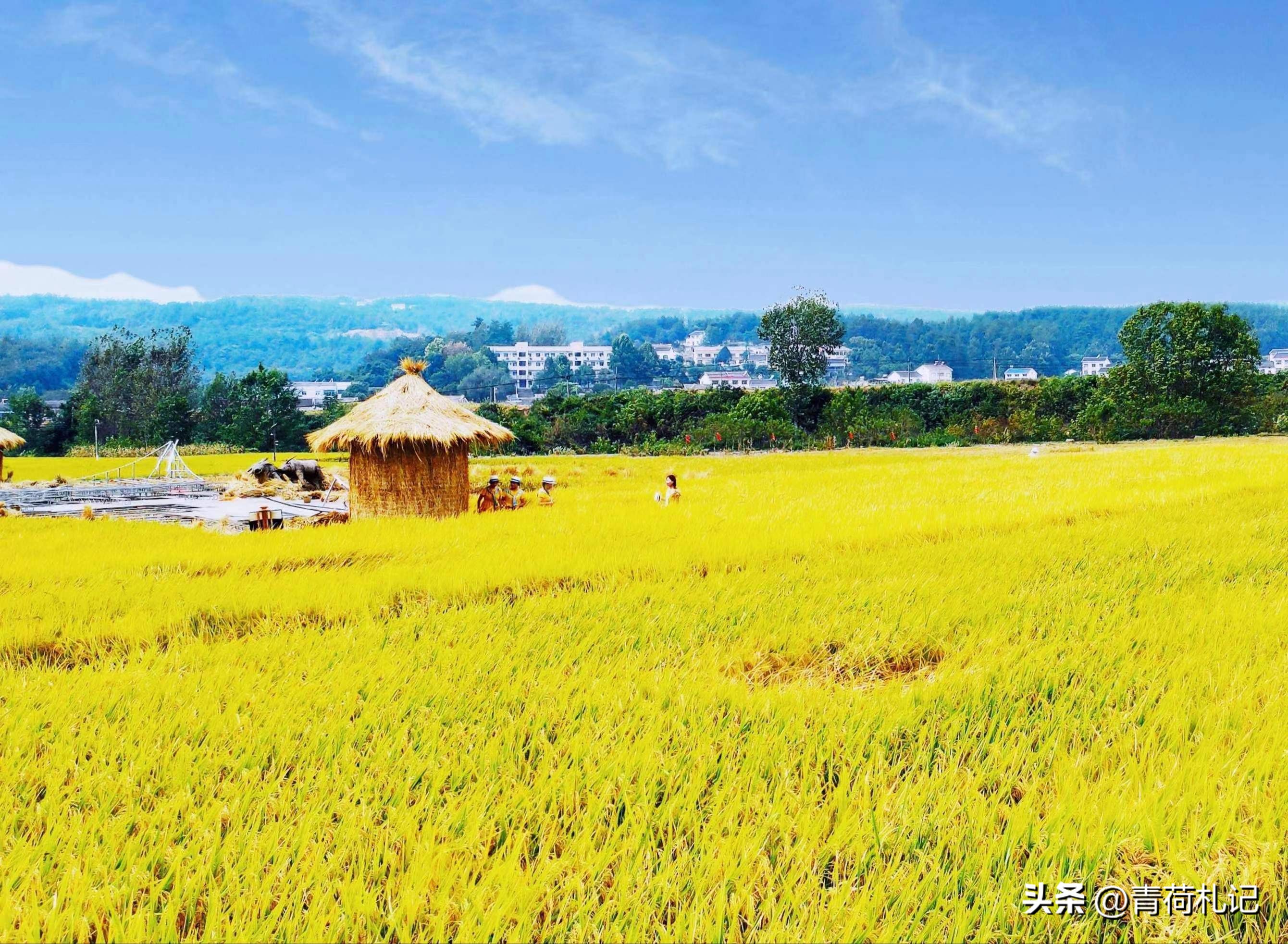 田园生活的古诗词名句,描写田园乡村生活的古诗词