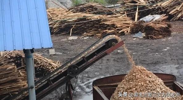 冷门的赚钱项目快速致富,想赚钱的朋友看过来