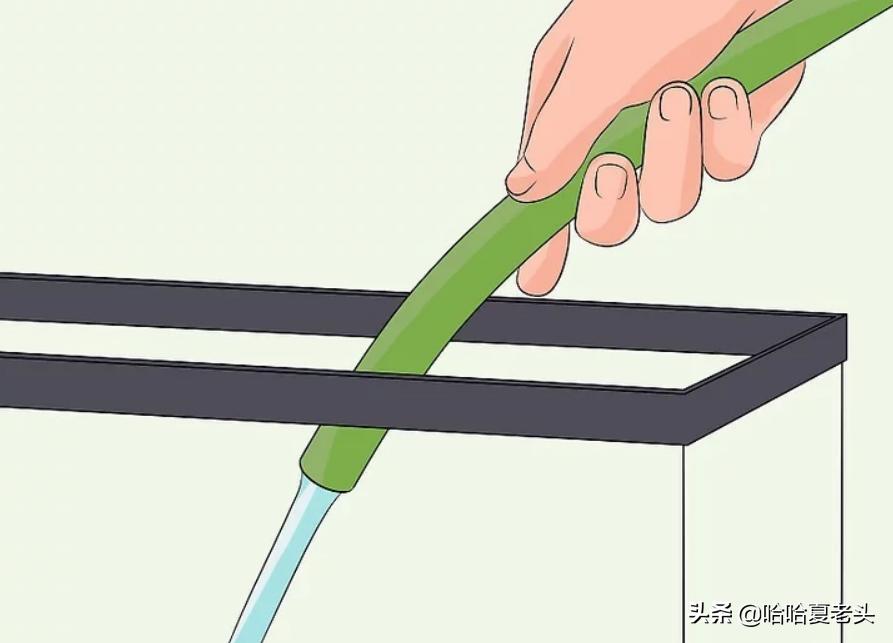 怎样拯救要死的斗鱼,怎么抢救奄奄一息的斗鱼