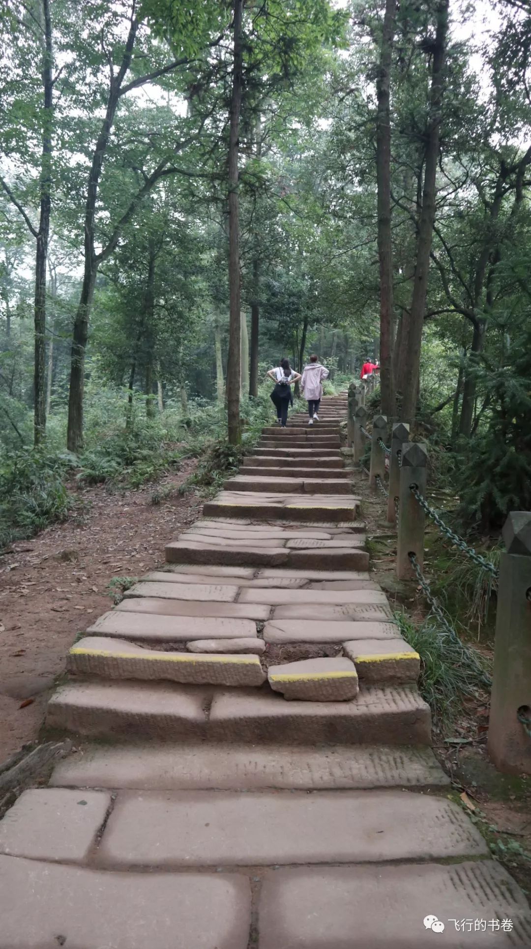 道教四大仙山你爬过几座,青城山为什么被称作道教第一山