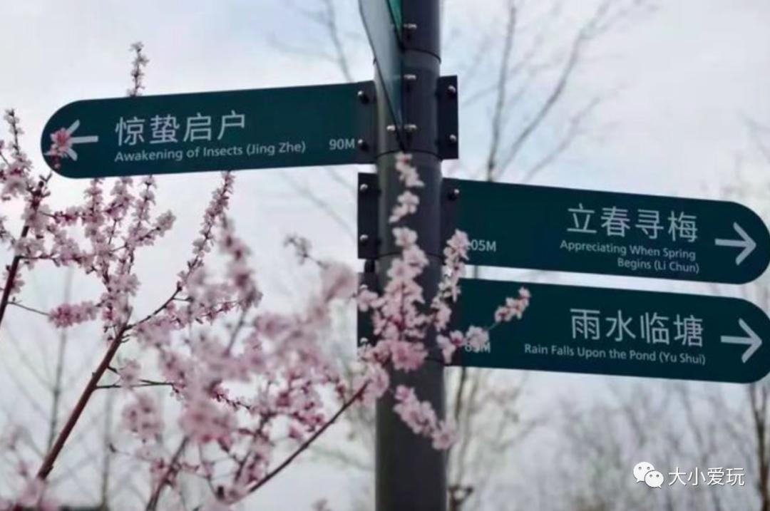 超级美的樱花美景全景,浪漫樱花海美景图