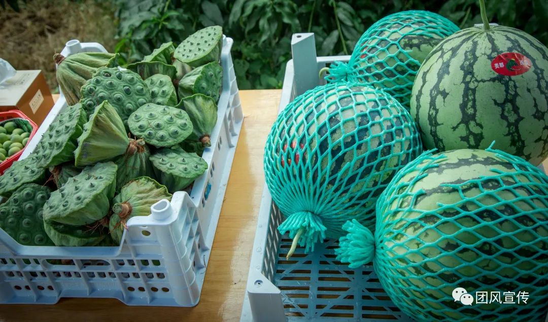 奏响新时代乡村振兴交响曲,团风县乡村振兴局项目公示