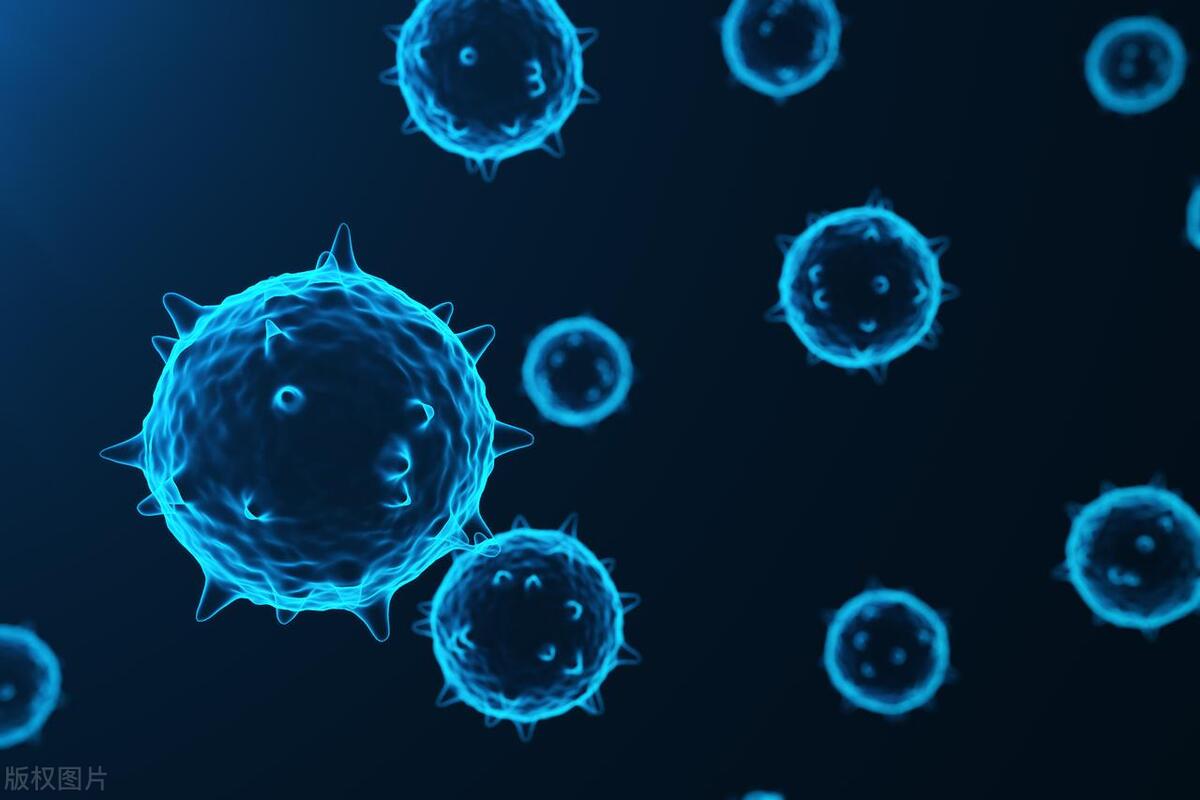 月经期不小心喝牛鞭汤,给老公做鸽子羊鞭汤