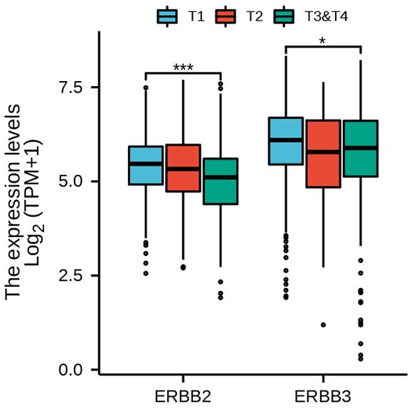 生信分析的工具,生信分析神器