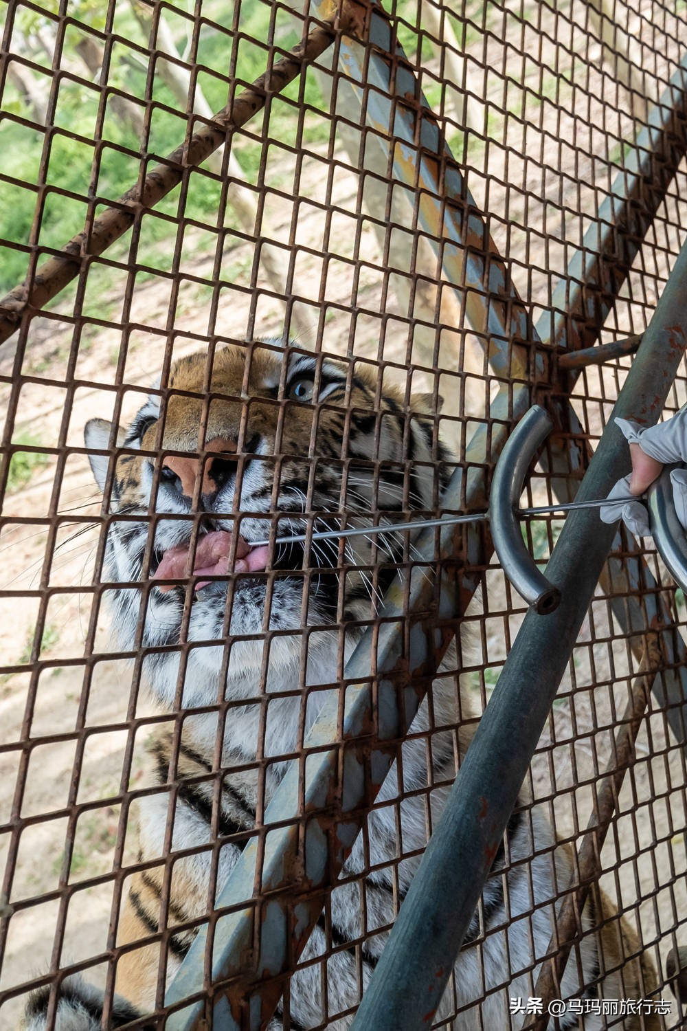 宿州到底有多好耍的地方,宿州有哪里值得去的地方