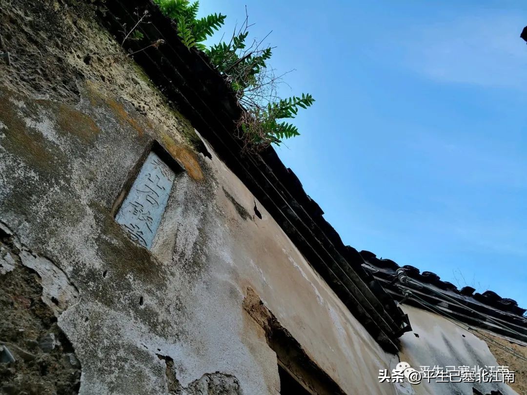 妇人之仁大结局视频,妇人之仁全文解释