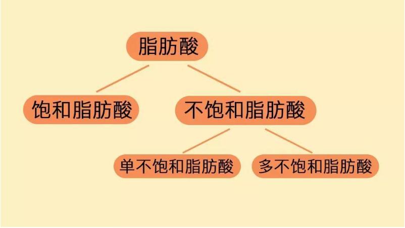 儿童特应性皮炎是过敏吗,儿童特应性皮炎与食物过敏
