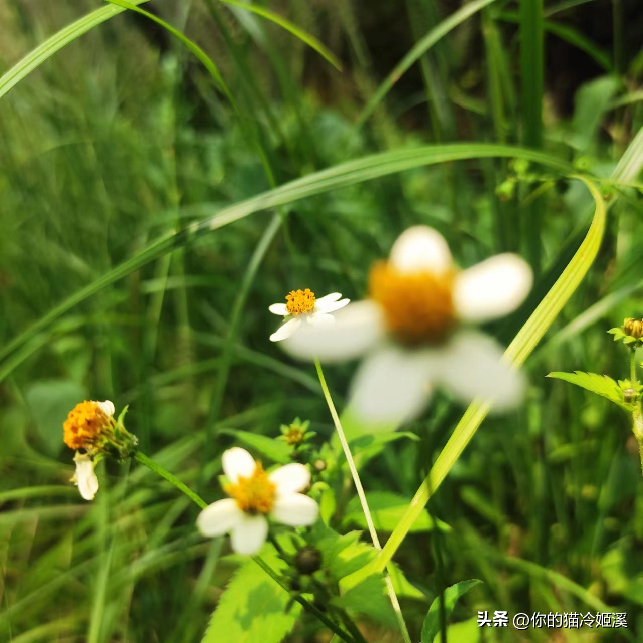 有点心酸难过的文案,总有一句扎心的文案戳到你的心
