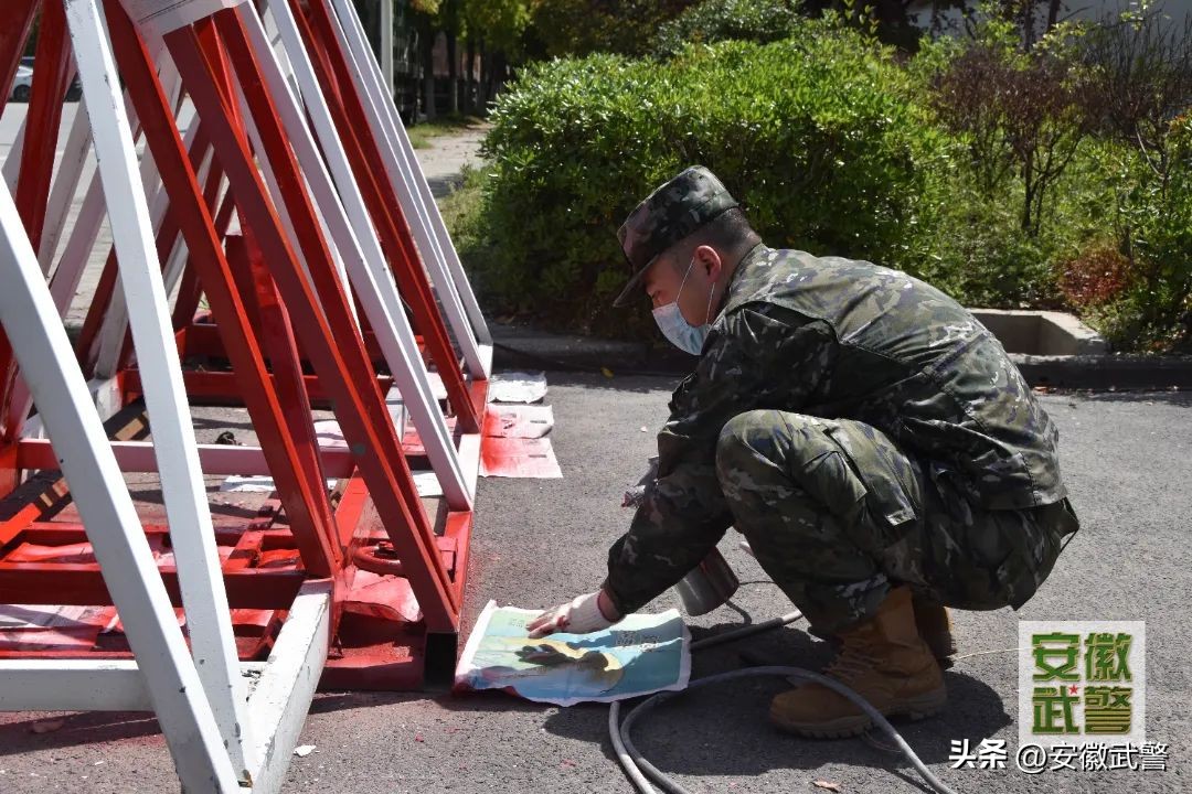 通关秘诀快来看,收好这份通关秘籍