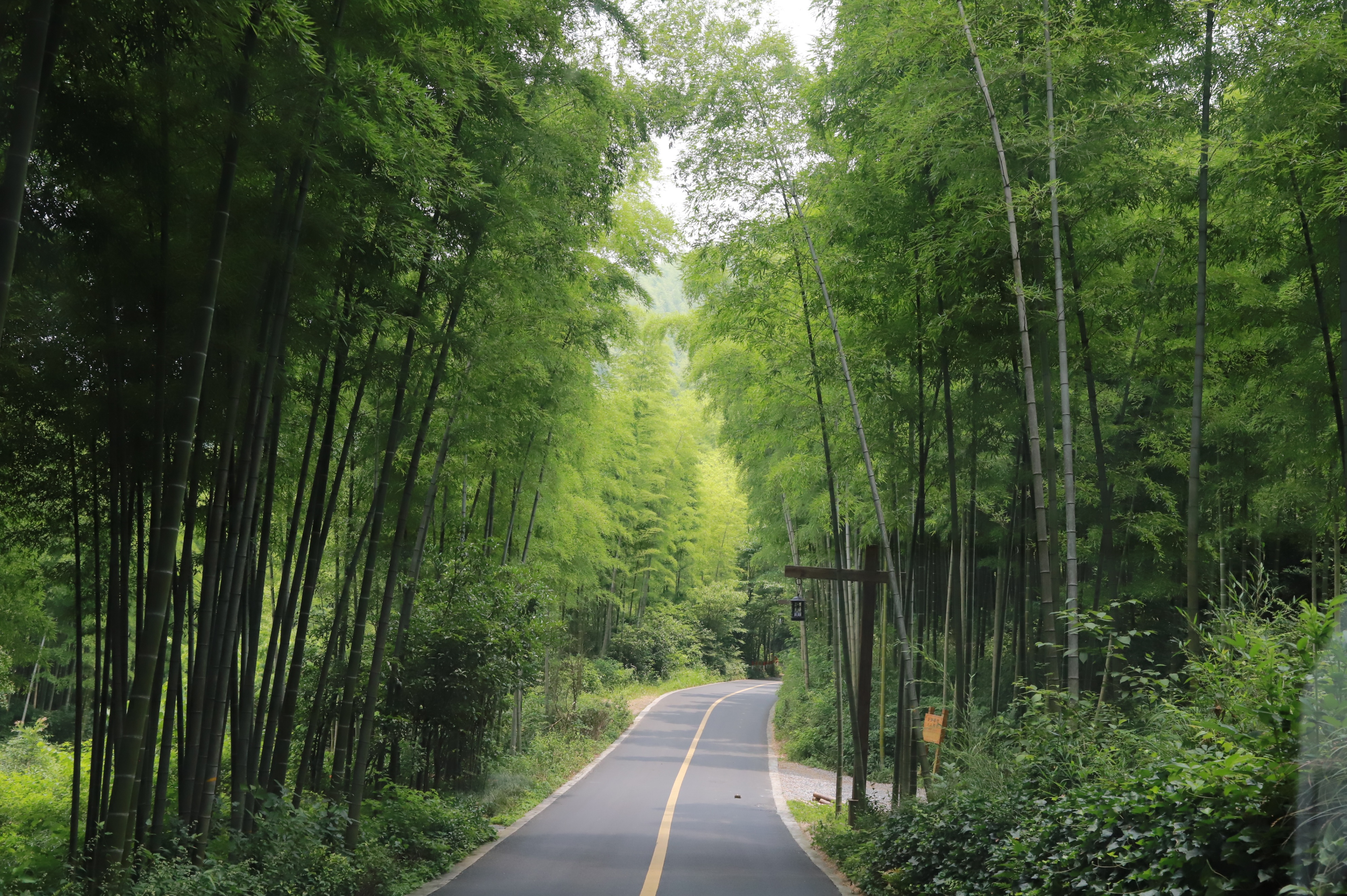 南山竹海自驾线路怎么走,去南山竹海旅游攻略路线推荐
