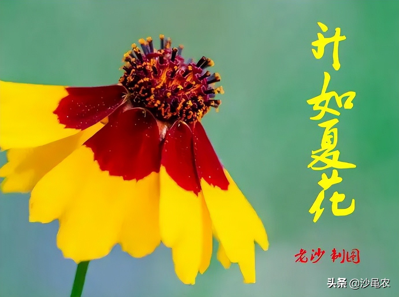 股市逢8大跌吗,股市挑战每日实盘记录