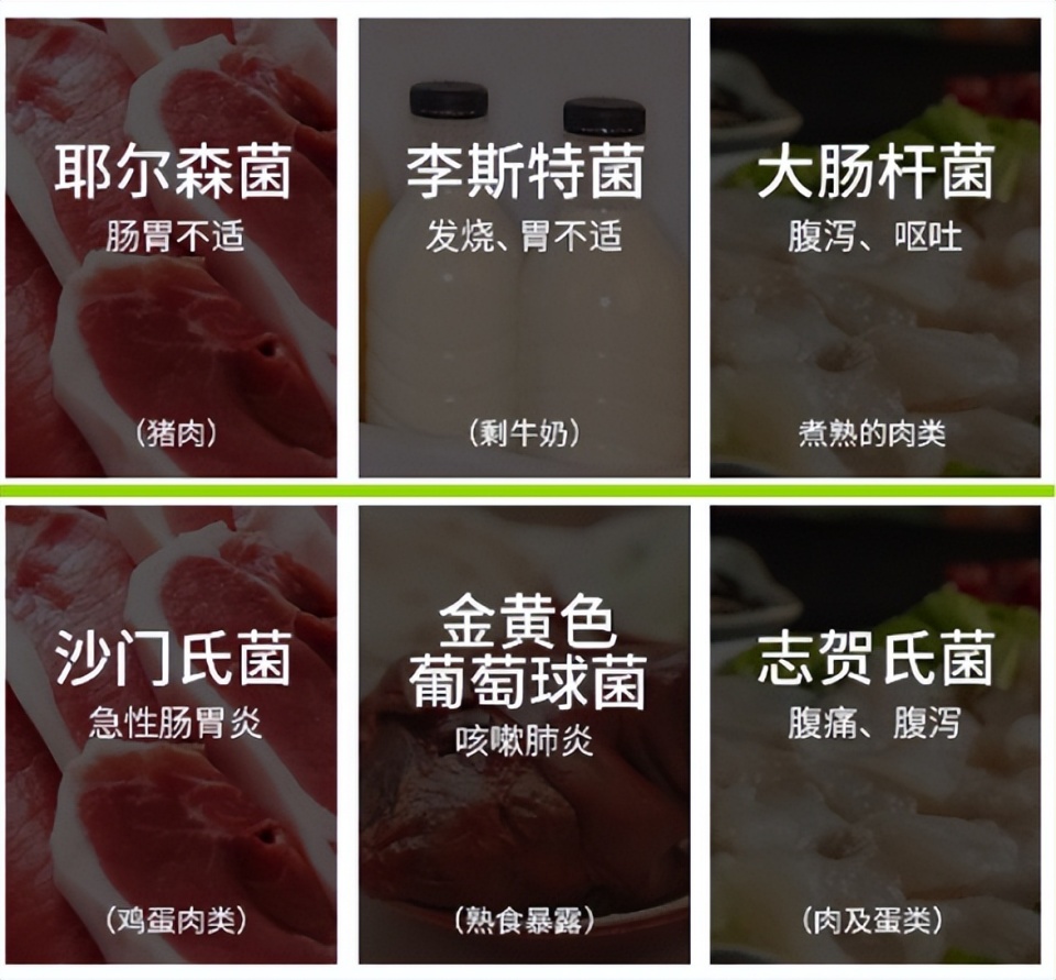 冰箱除异味有妙招！什么东西除冰箱异味最快