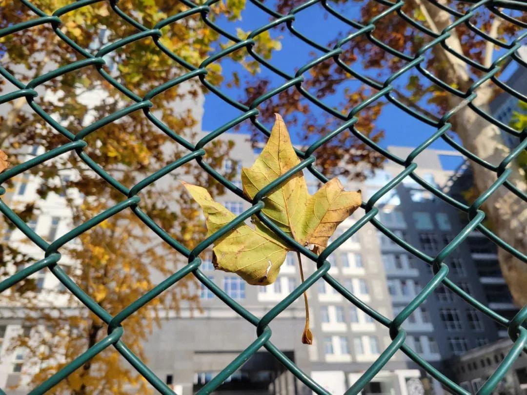 200条实用心理学小知识,实用200条心理学视频