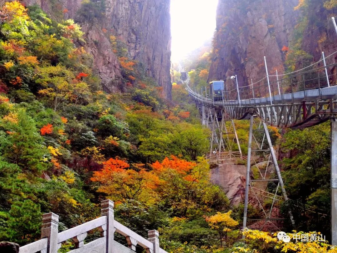 歙县记者节,记者采访风景视频素材
