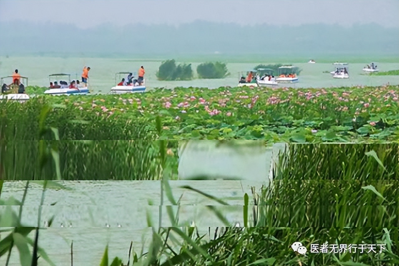 李冠义：图文诗诀赞颂家乡羲皇故都水城淮阳