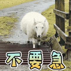 win10系统优化流畅设置惠普,win10怎么优化才流畅