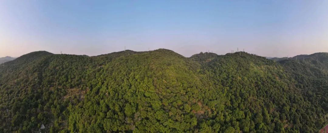 保利科学城价格,科学城片区保利楼盘