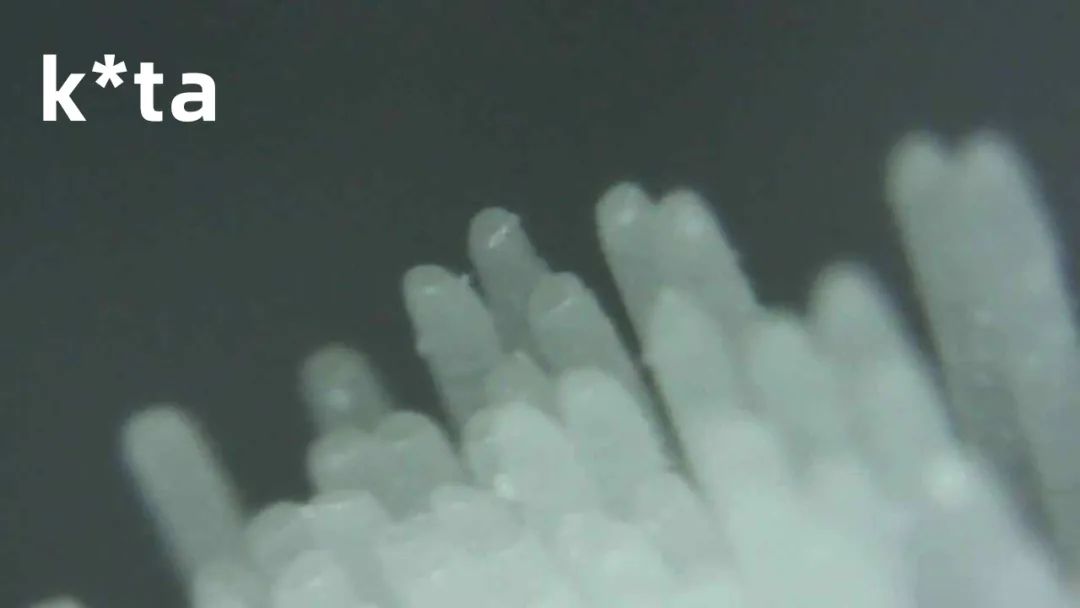 儿童声波全自动电动牙刷测评,显微镜下看牙刷