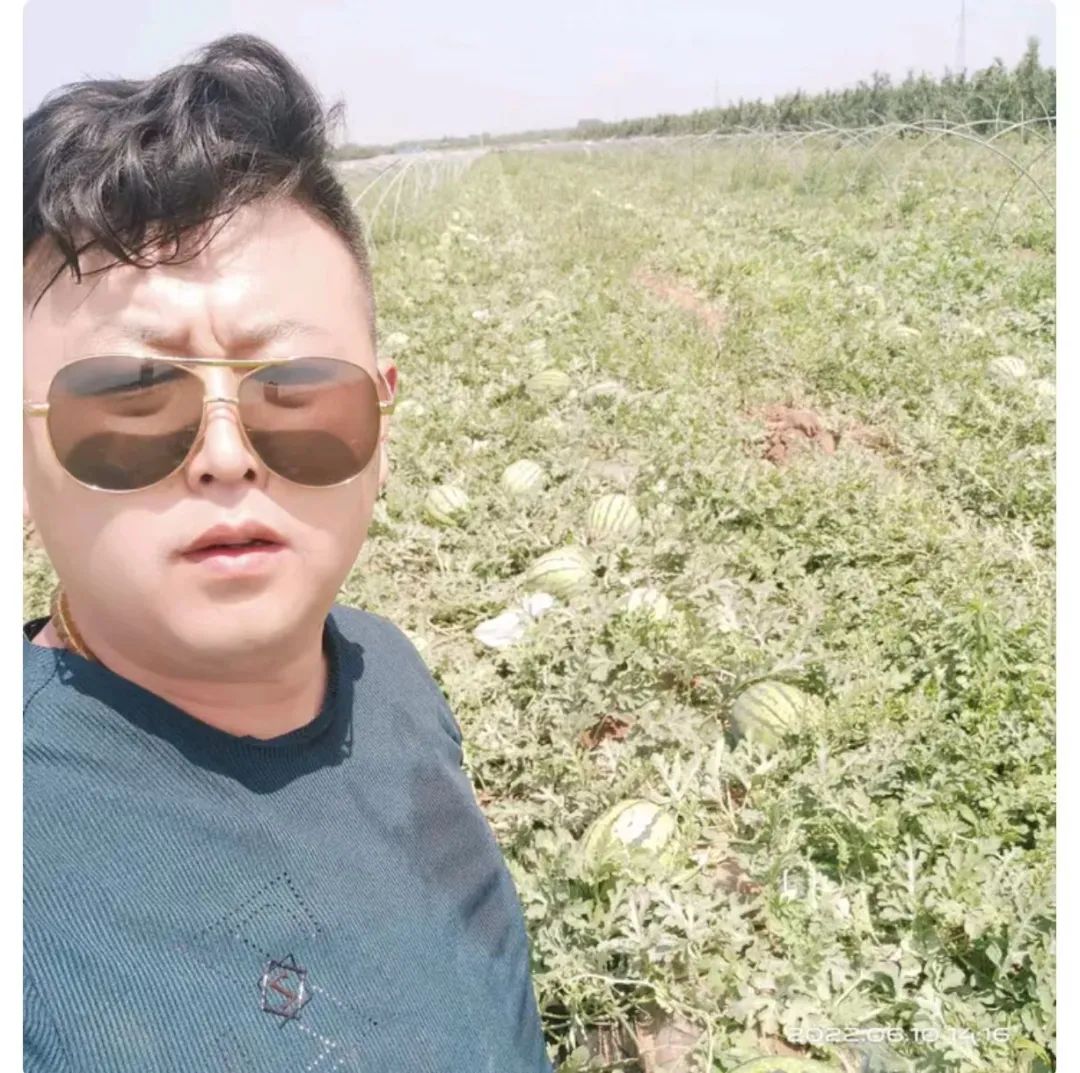 翡翠生意亏大，渭南小伙种100亩西瓜净赚70万，靠农产品东山再起