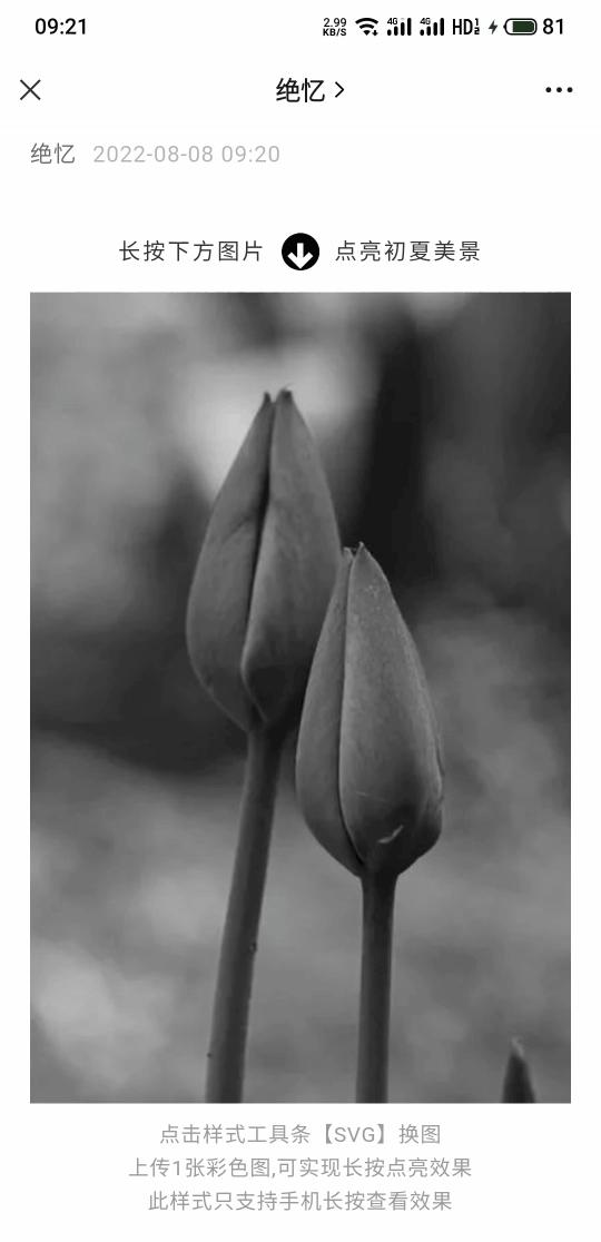 图片怎么加亮晶晶的特效,图片逐张点亮特效