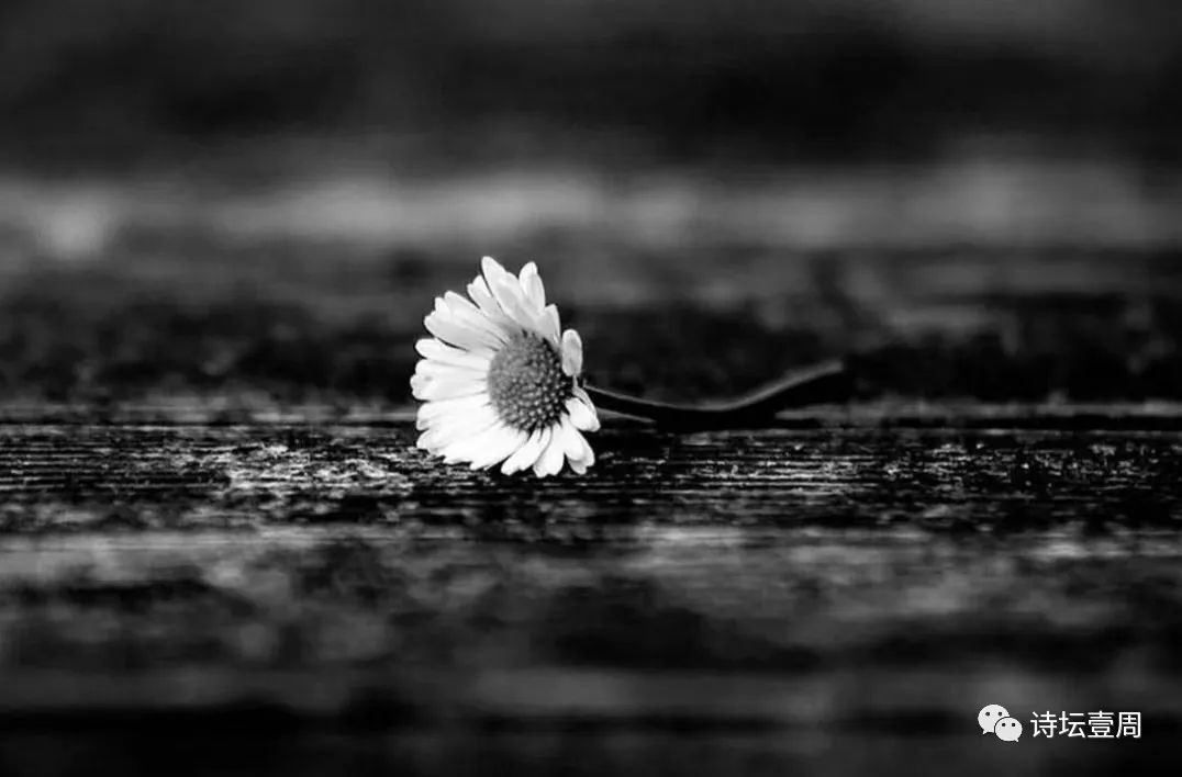 【诗坛壹周】合军选诗,合集：那么多年来，我还不是自己的主人