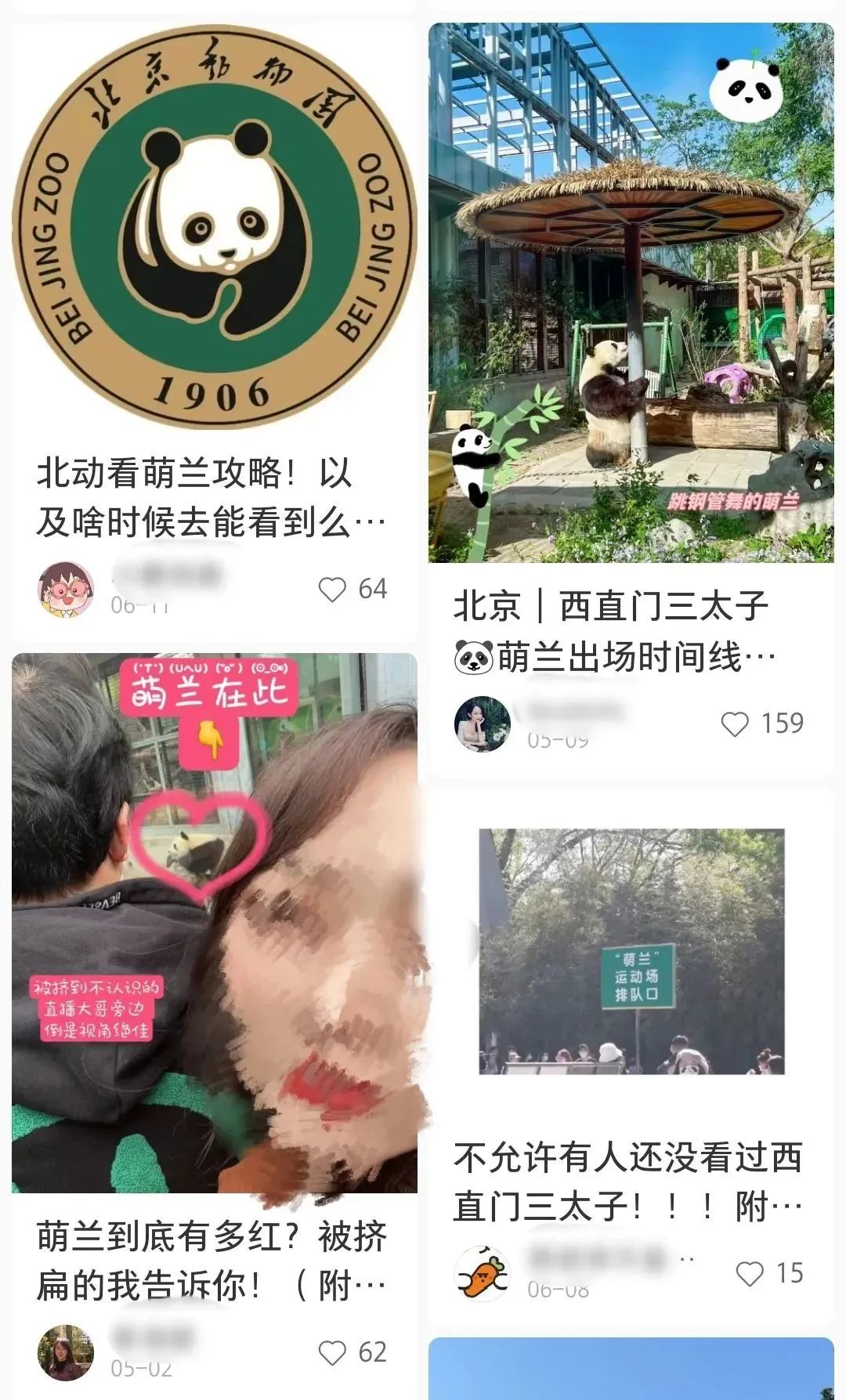 凌晨两点开始排队，年轻人怎么爱上了动物园？