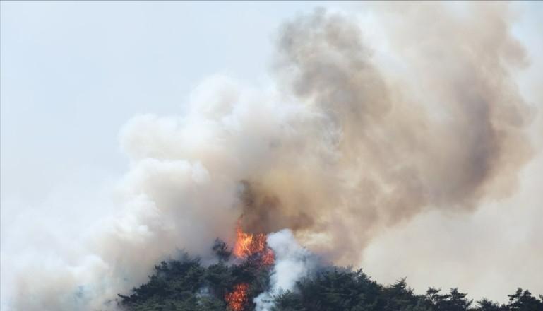 韩国首尔景福宫和青瓦台,韩国森林大火最新