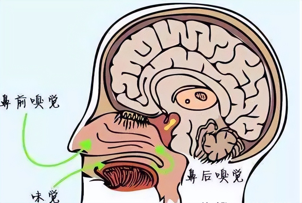 吞咽困难用什么辅助仪,吞咽障碍一招解决