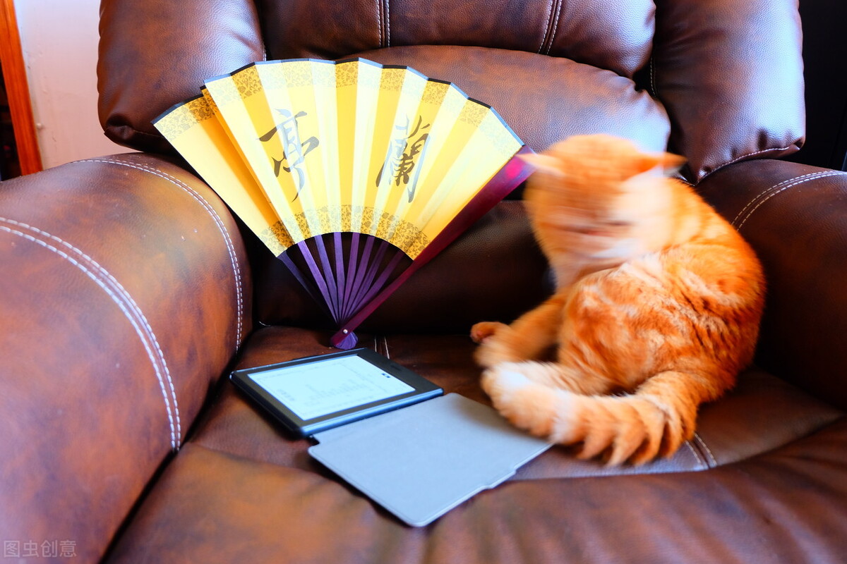 十二首诗词中的“读书乐”，乐时光、乐学识、乐同学、还有乐爱情