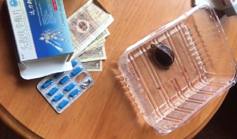 黄缘龟和黄喉拟水龟的区别,黄缘龟是陆龟还是水龟