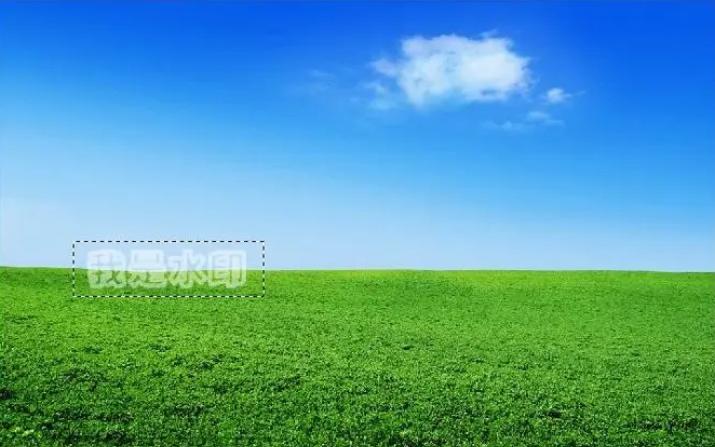 发布在网上的照片，应该使用数字水印还是半隐形水印？