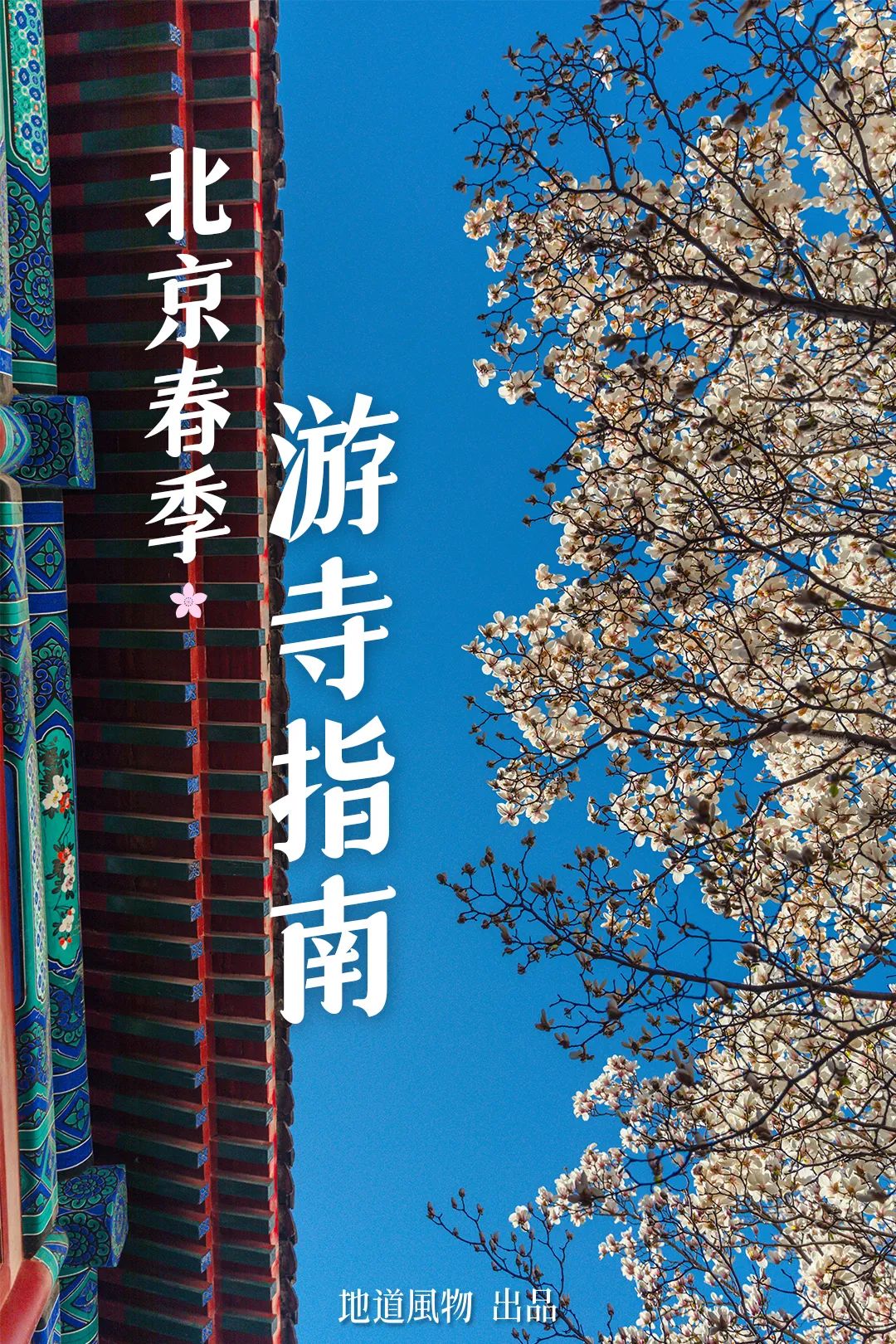 中国最灵的寺庙雍和宫,不要再去一个人挤人的景点