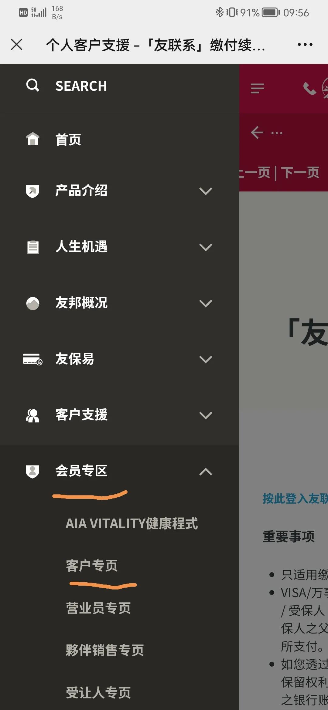 内地友邦保险与香港友邦保险区别,香港友邦保险在内地怎么买