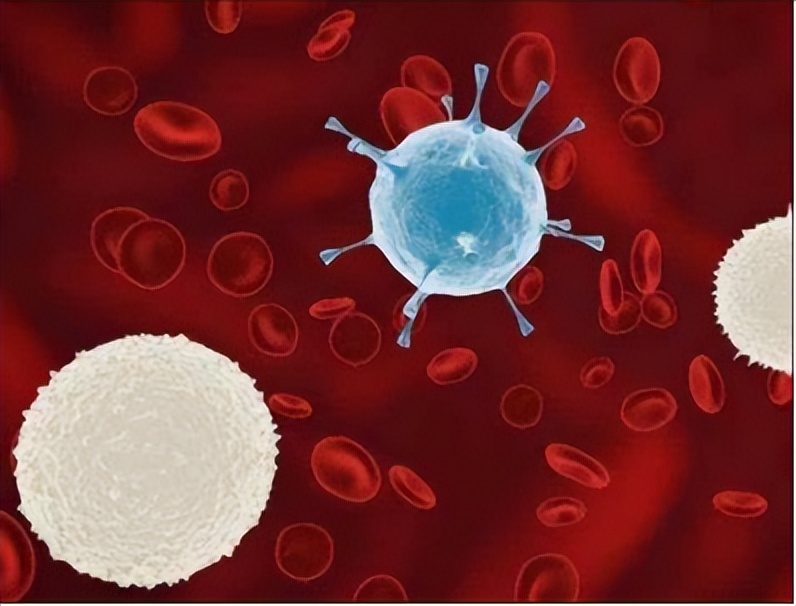 白细胞计数低中性粒细胞低,白细胞计数高中性粒细胞低