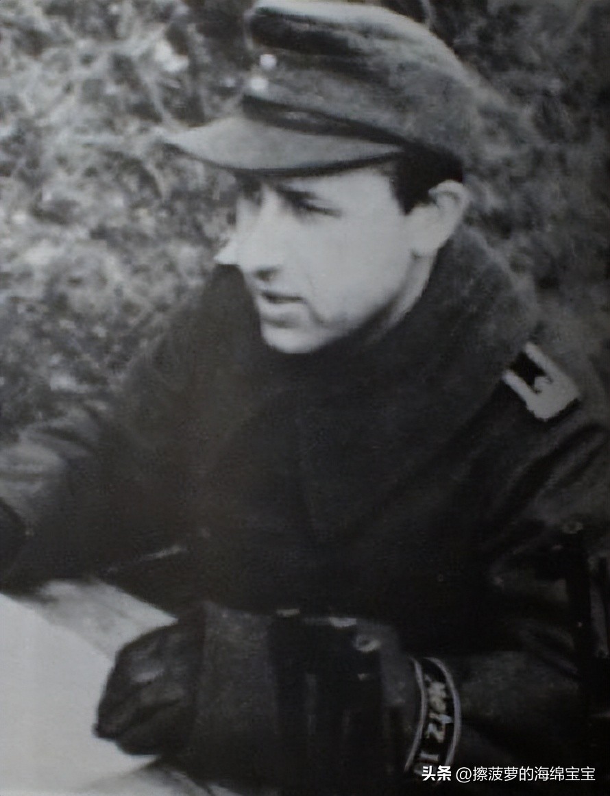 霍尔姆盾章二战德国,二战德国军奖章