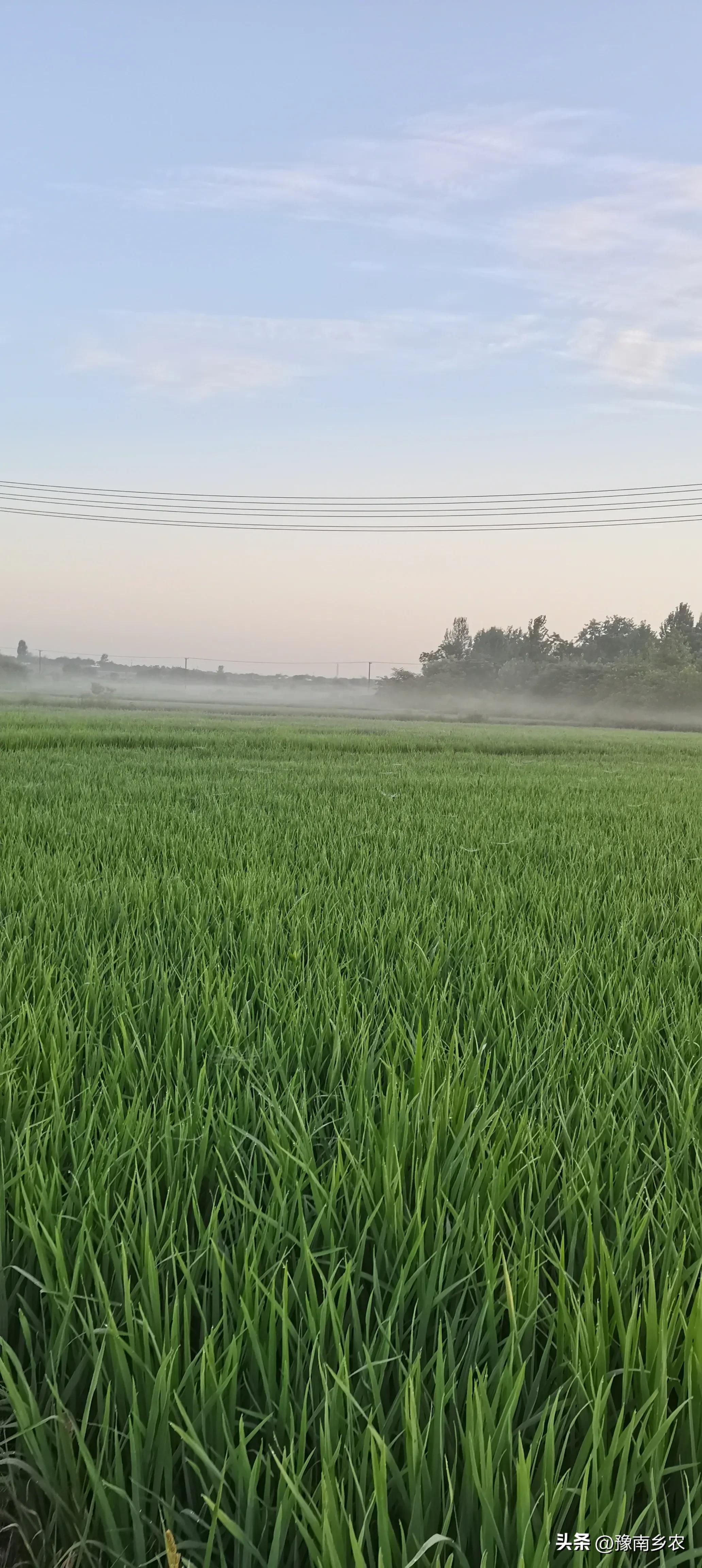 我农村双儿户，给大儿媳买一套90万的婚房，她要彩礼20万还不背账