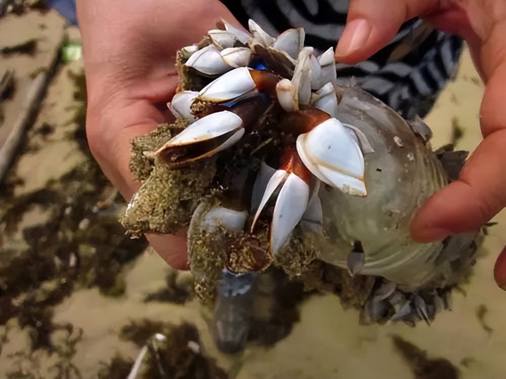 海南三亚旅游攻略景点大全,三亚蜜月旅游攻略7天费用