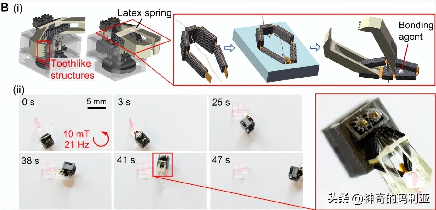 用于无线控制毫米级机器人的磁致动齿轮箱，其究竟有何作用