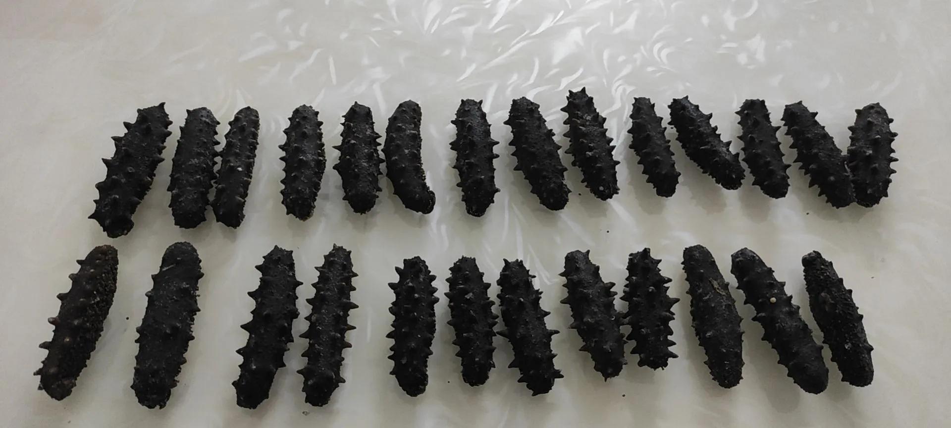 海参有助于身体恢复健康吗,海参养生吗