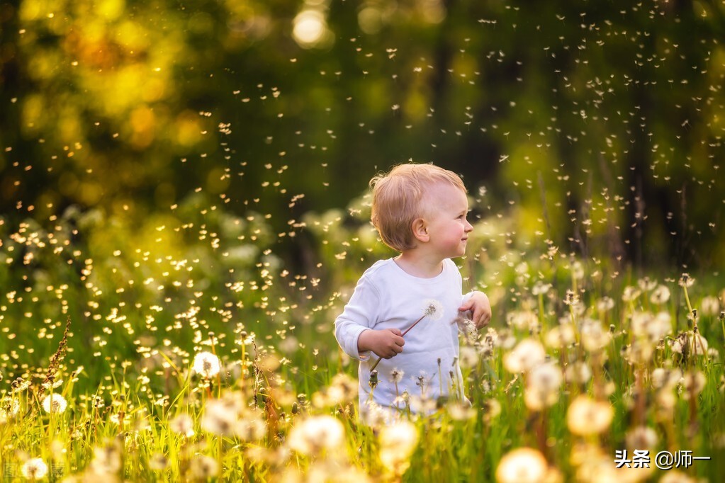 裸猿《道德篇》——自然•人类•科学(作者:詹克明)