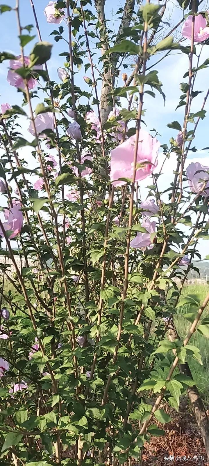 曲靖第一人民医院服务态度好吗,为什么公立医院的服务态度很差