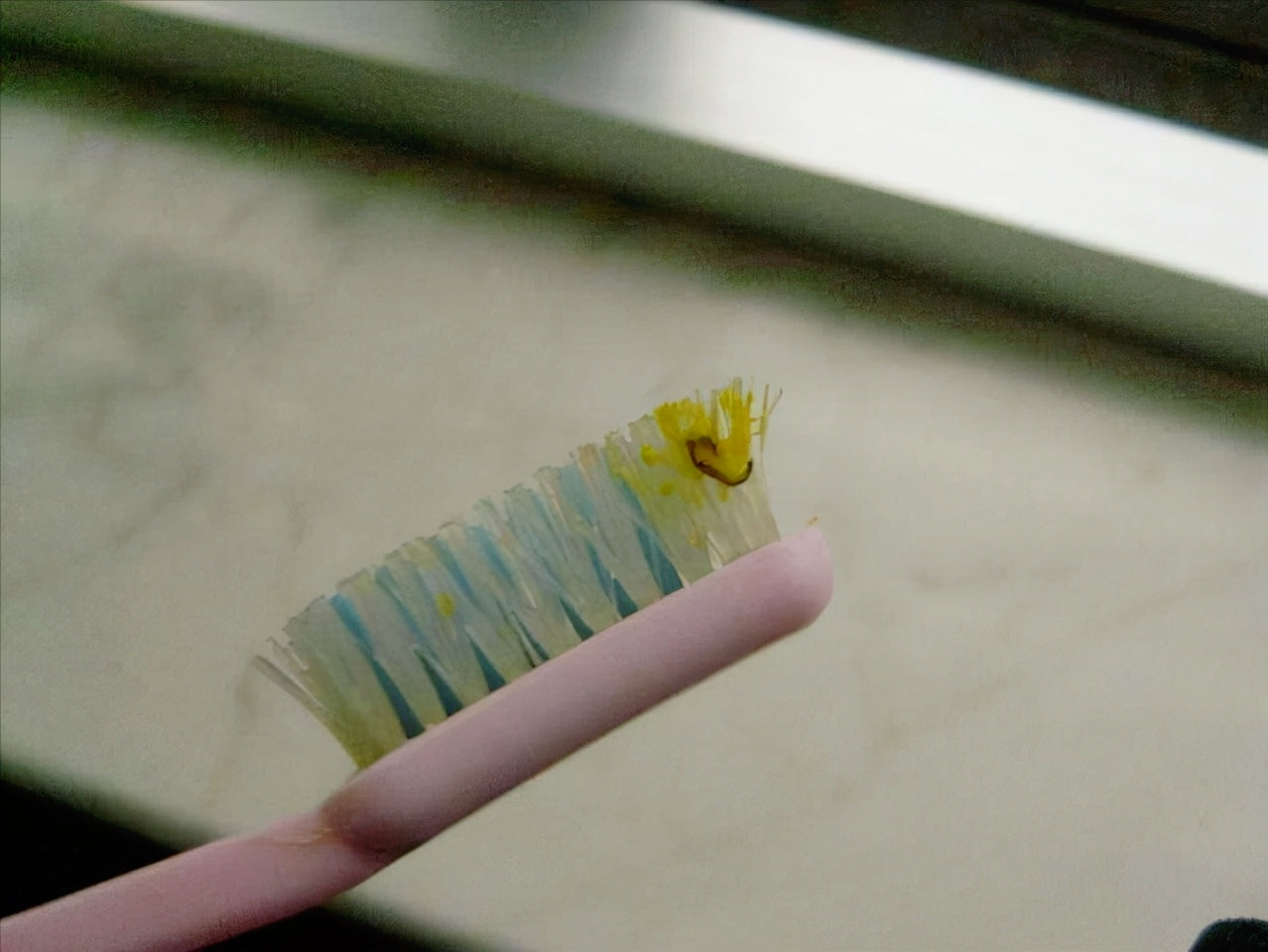 卫生间小飞虫的危害程度超乎你的想象,它究竟是啥?该如何消灭?