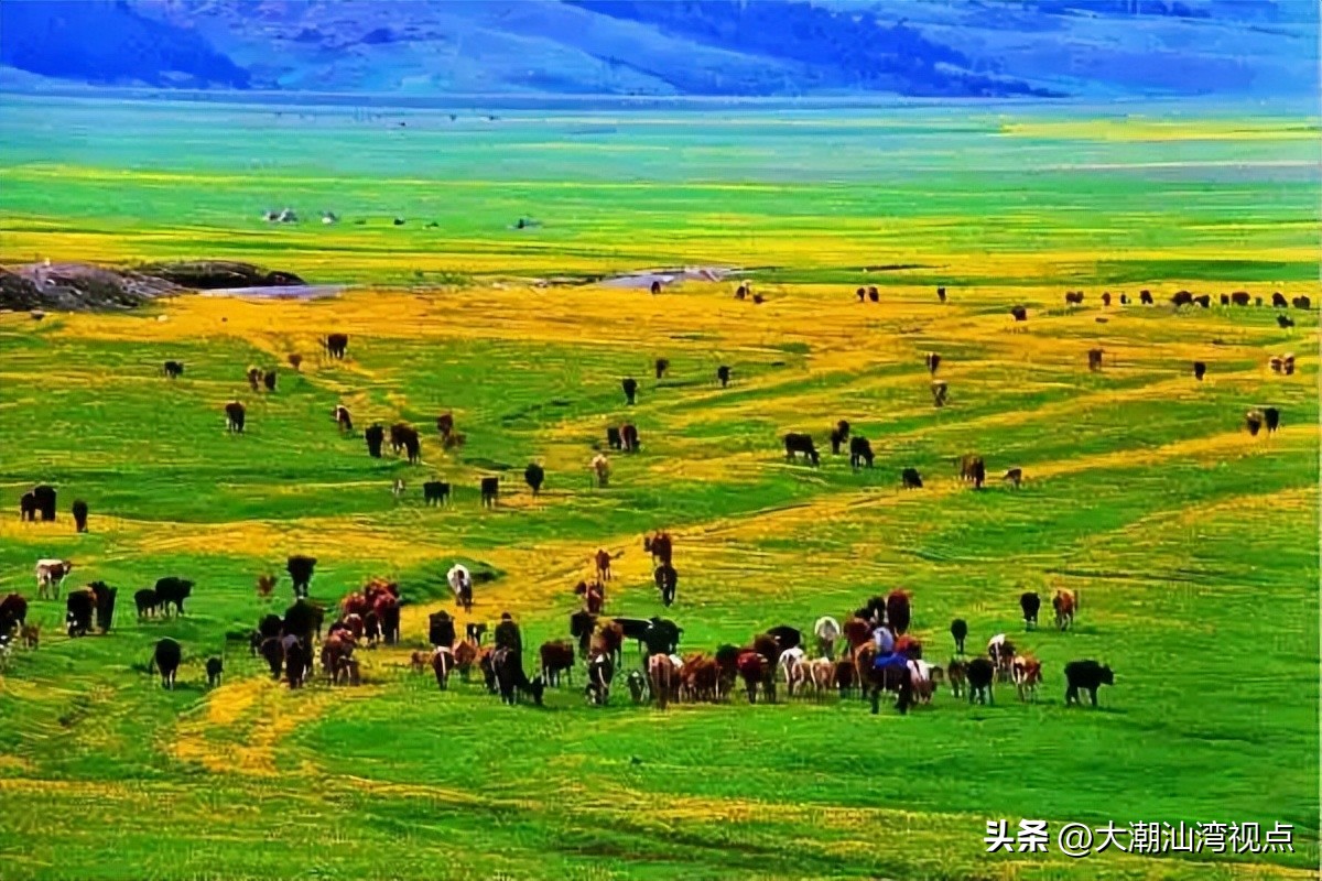 中国各地特产礼品,中国各地适合送礼特产一览表