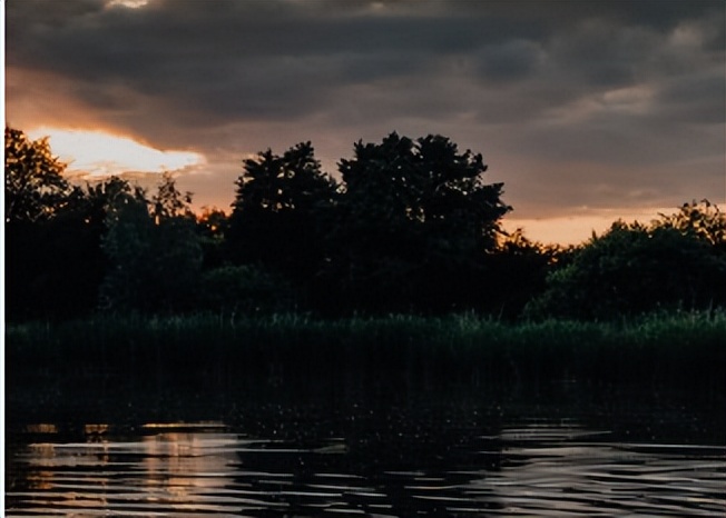 这样做父母就对了在线阅读,父母怎样做孩子才会更有出息