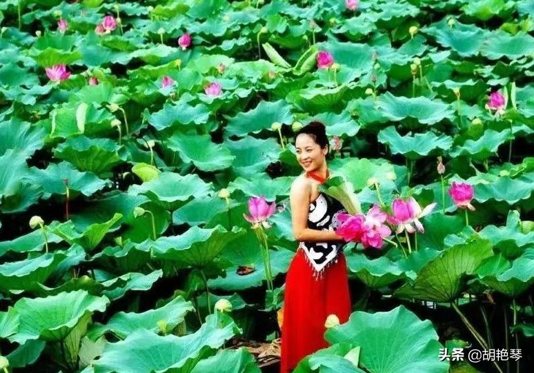 关于劳动者的诗句有哪些,歌颂劳动人民的经典诗词