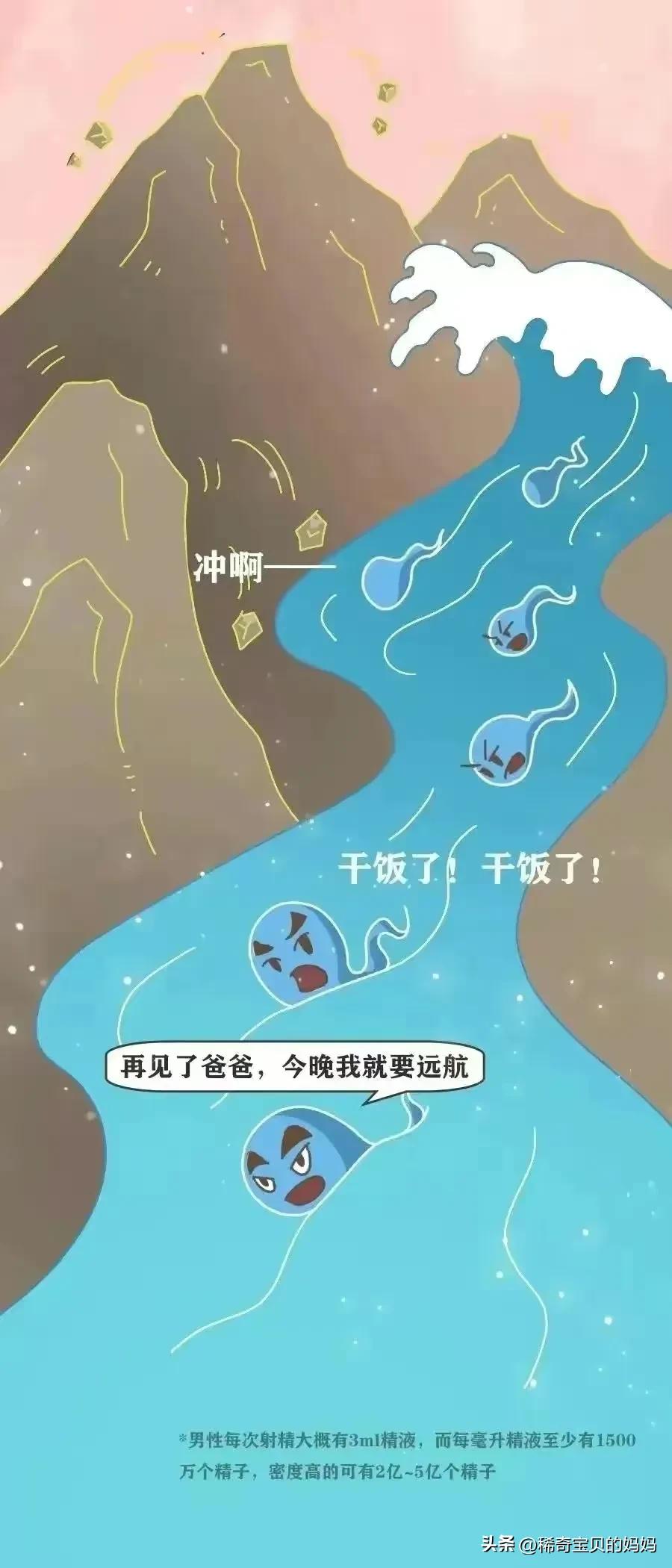 精子进入女生体内的全过程，一路坎坷好艰难！（漫画）