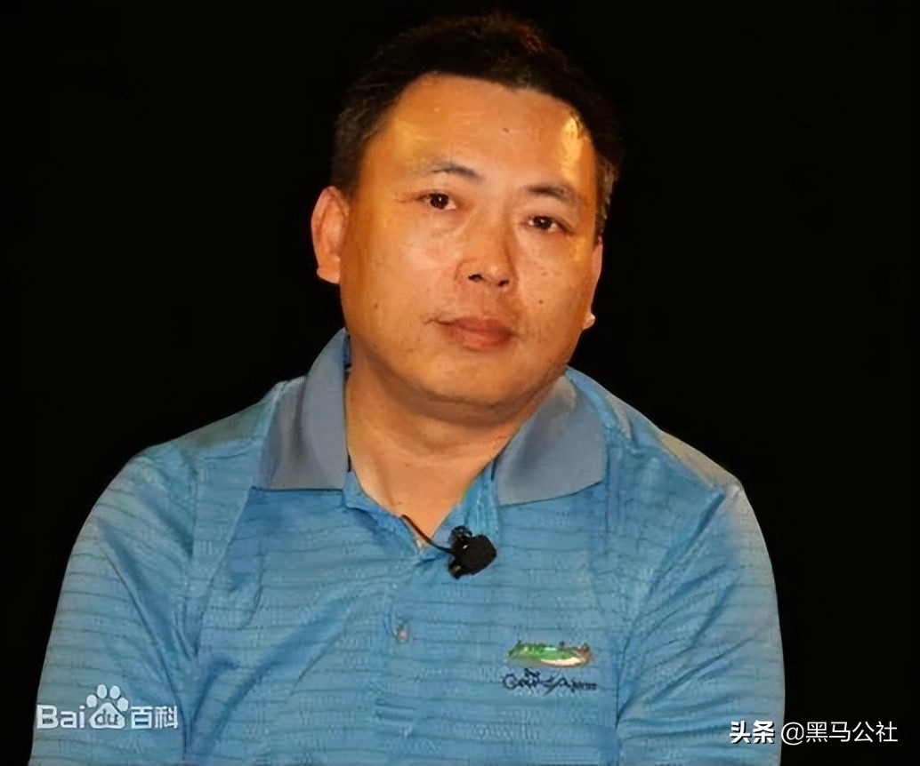 京东方崛起之路,京东方逆袭之路