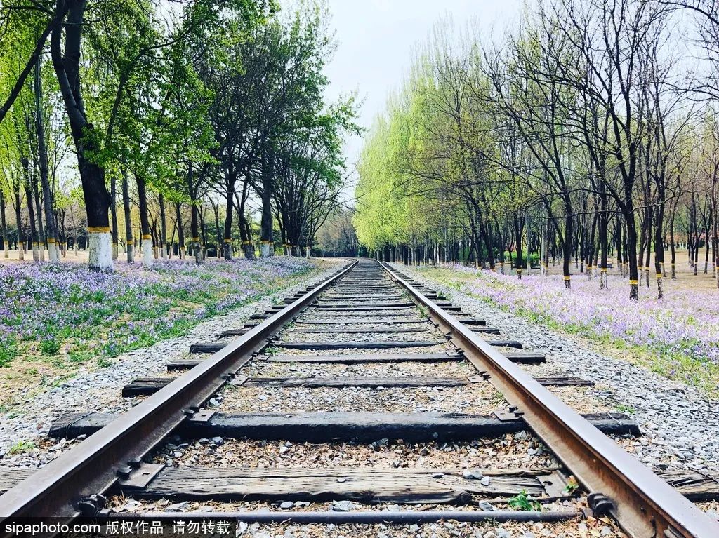冬天颐和园昆明湖全景,观赏颐和园昆明湖