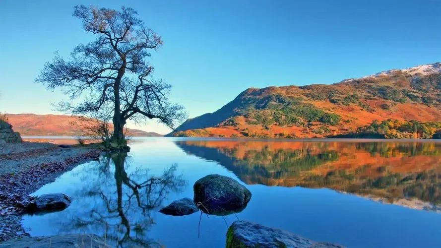 四年级期末作文必考我的乐园,我的乐园作文四年级400字范文菜地