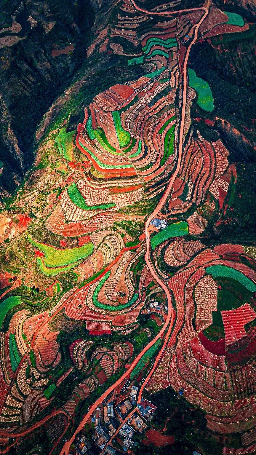 云南小曲清香型,云南小曲